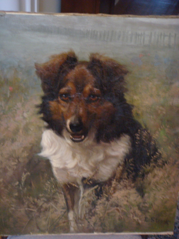 Portrait of dog after